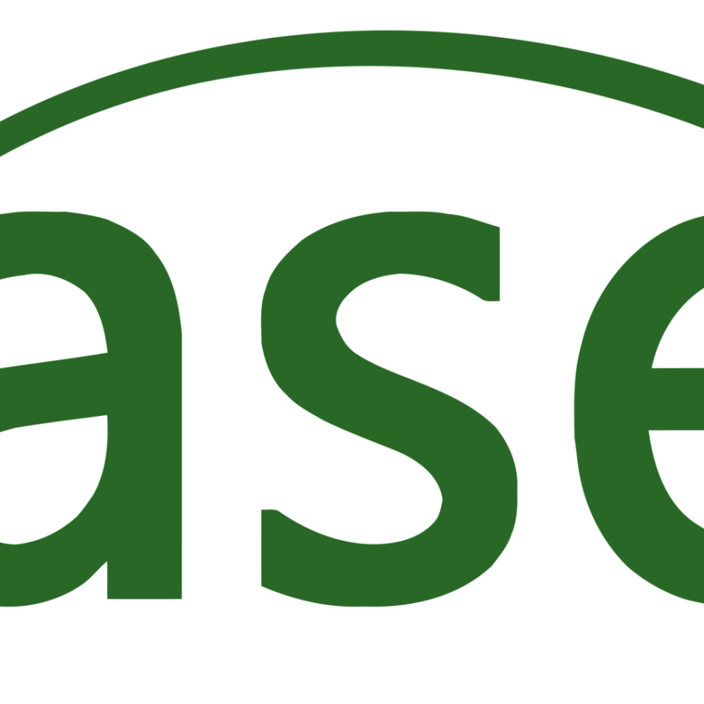 Logo ASE - Acción social empresarial